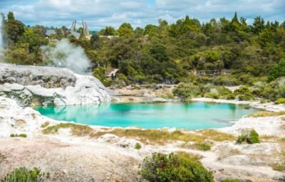 BDO Rotorua