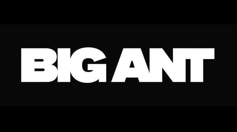 BIG ANT Agency
