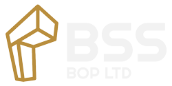 Building Surveying Services Ltd