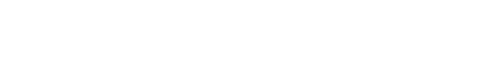 Perfect Polish Cleaning