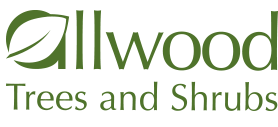 Allwood Trees Ltd