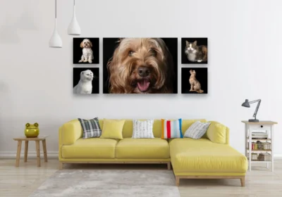 David Roberts Portraits