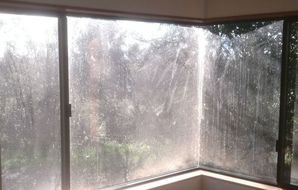 Hills Cleaning Service Ltd