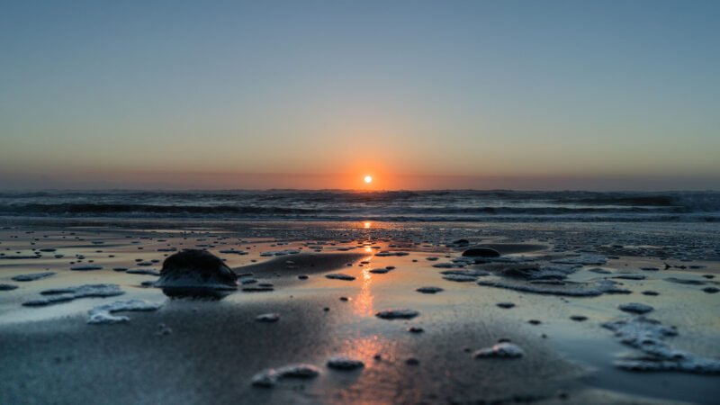 TARANAKI Realty