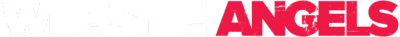 Website Angels Limited