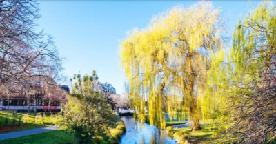 Avonside House Trust