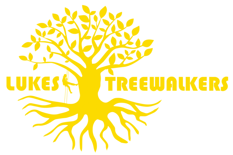 Lukes TreeWalkers