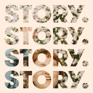 Story Financial Group Ltd